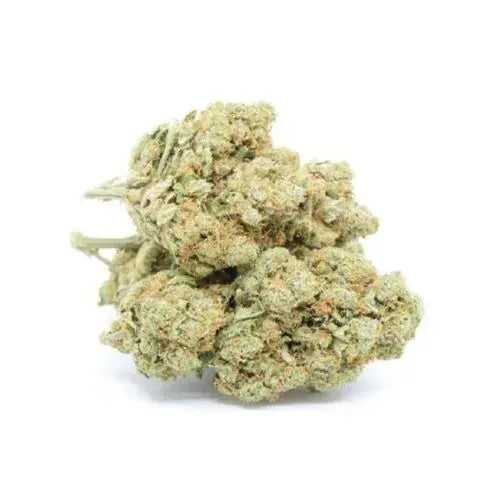 Fleur de CBD Amnesia Indoor 13% - 6,90€/g