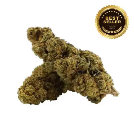 Fleur CBD Tropical Haze Greenhouse 12% – Mangue & Agrumes · Dès 3,90€/g