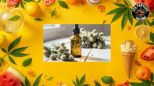 Fleurs de chanvre séchées, résine et flacon d'huile cosmétique CBD sur table en bois clair, logo officiel Les Papilles Du CBD