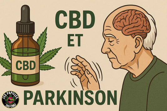 CBD et maladie de Parkinson 🌿 : bienfaits, effets et guide d’utilisation naturelle