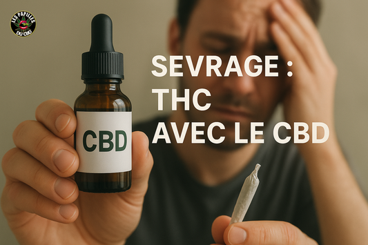Sevrage du THC : le CBD, un allié naturel pour arrêter le cannabis.