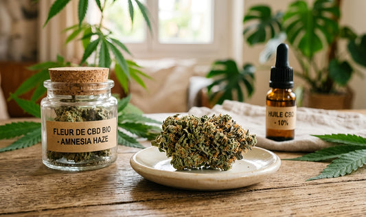 Meilleure fleur CBD 2026 : Guide expert pour choisir en France (Qualité Premium)