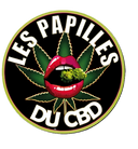 Les Papilles Du CBD