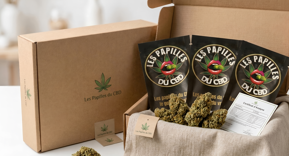 Pack Découverte Fleurs et Hash CBD - coffret 13 références indoor greenhouse outdoor - Les Papilles du CBD